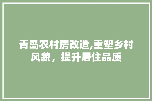 青岛农村房改造,重塑乡村风貌，提升居住品质 综合便民
