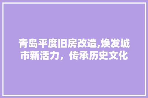 青岛平度旧房改造,焕发城市新活力，传承历史文化 汽车维修