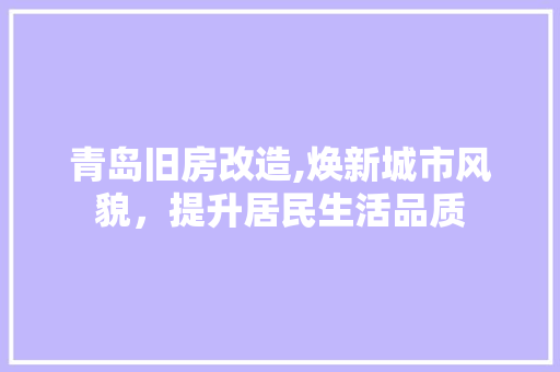 青岛旧房改造,焕新城市风貌，提升居民生活品质 厨房维修