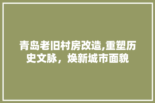 青岛老旧村房改造,重塑历史文脉，焕新城市面貌 汽车维修