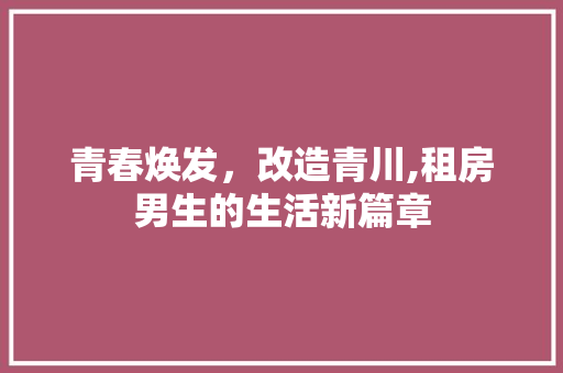 青春焕发，改造青川,租房男生的生活新篇章 厨房维修