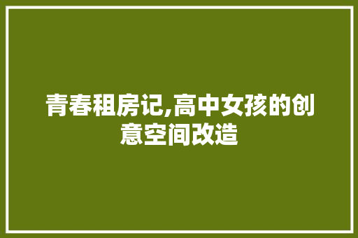 青春租房记,高中女孩的创意空间改造 厨房维修