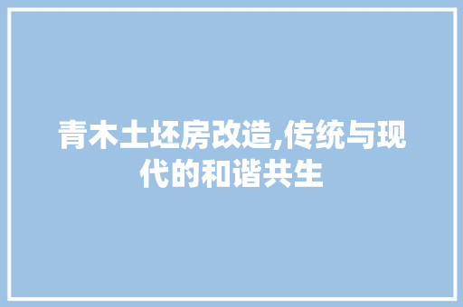 青木土坯房改造,传统与现代的和谐共生 墙体维修