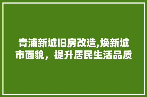 青浦新城旧房改造,焕新城市面貌，提升居民生活品质 厨房维修