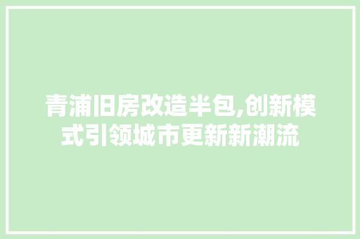青浦旧房改造半包,创新模式引领城市更新新潮流 厨房维修