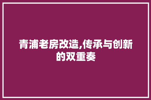 青浦老房改造,传承与创新的双重奏 厨房维修