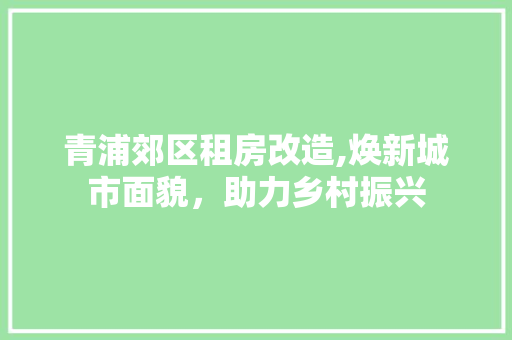 青浦郊区租房改造,焕新城市面貌，助力乡村振兴 家电维修