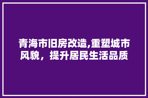 青海市旧房改造,重塑城市风貌，提升居民生活品质 家电维修
