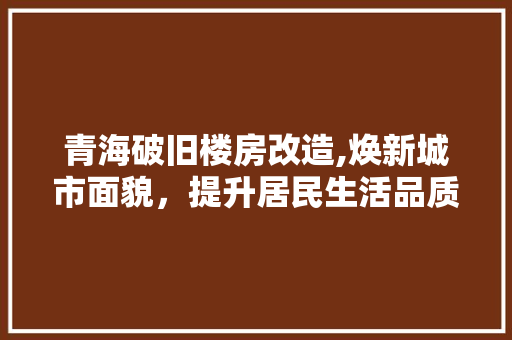 青海破旧楼房改造,焕新城市面貌，提升居民生活品质 厨房维修