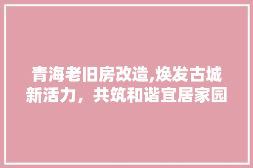 青海老旧房改造,焕发古城新活力，共筑和谐宜居家园 墙体维修