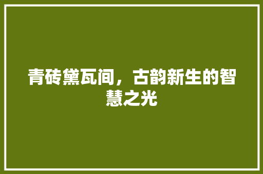 青砖黛瓦间，古韵新生的智慧之光 墙体维修