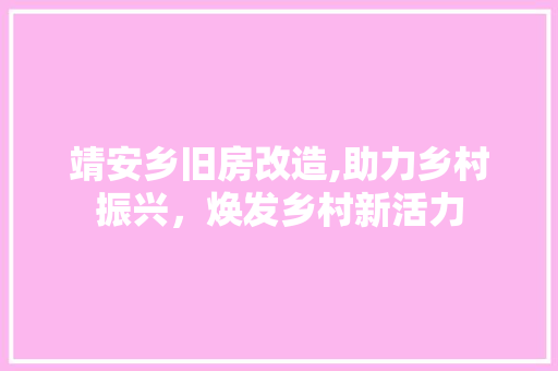 靖安乡旧房改造,助力乡村振兴，焕发乡村新活力 墙体维修