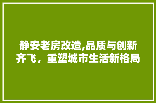 静安老房改造,品质与创新齐飞，重塑城市生活新格局 厨房维修