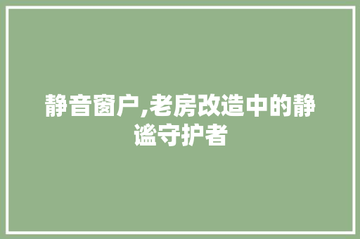 静音窗户,老房改造中的静谧守护者 综合便民