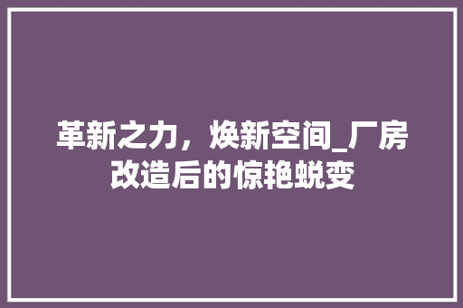 革新之力，焕新空间_厂房改造后的惊艳蜕变 厨房维修