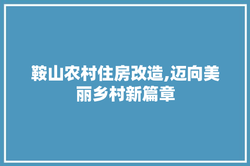鞍山农村住房改造,迈向美丽乡村新篇章 墙体维修