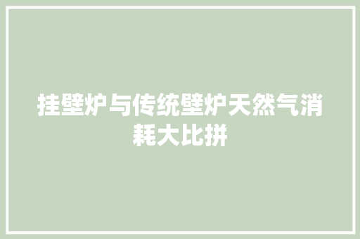 挂壁炉与传统壁炉天然气消耗大比拼 厨房维修