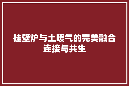挂壁炉与土暖气的完美融合连接与共生 综合便民