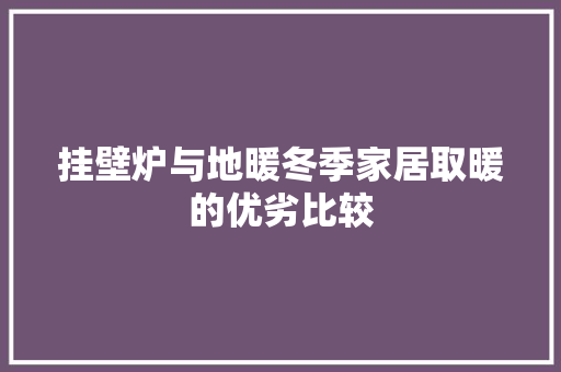 挂壁炉与地暖冬季家居取暖的优劣比较 综合便民