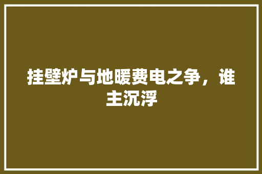 挂壁炉与地暖费电之争，谁主沉浮 综合便民