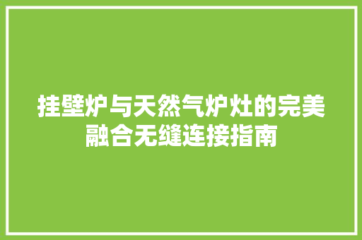 挂壁炉与天然气炉灶的完美融合无缝连接指南 墙体维修