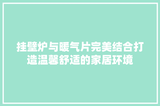 挂壁炉与暖气片完美结合打造温馨舒适的家居环境 墙体维修