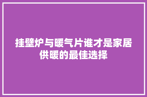挂壁炉与暖气片谁才是家居供暖的最佳选择 综合便民