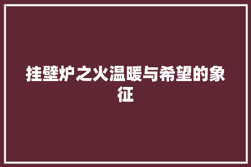 挂壁炉之火温暖与希望的象征 家电维修