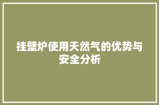 挂壁炉使用天然气的优势与安全分析 家电维修