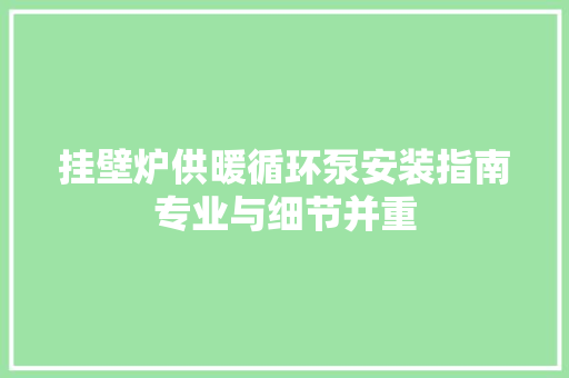 挂壁炉供暖循环泵安装指南专业与细节并重 家电维修