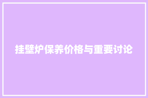 挂壁炉保养价格与重要讨论 厨房维修