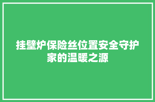 挂壁炉保险丝位置安全守护家的温暖之源 汽车维修