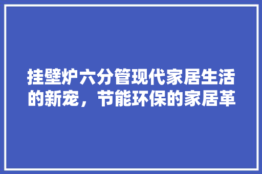 挂壁炉六分管现代家居生活的新宠，节能环保的家居革命 墙体维修