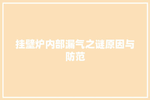 挂壁炉内部漏气之谜原因与防范 厨房维修