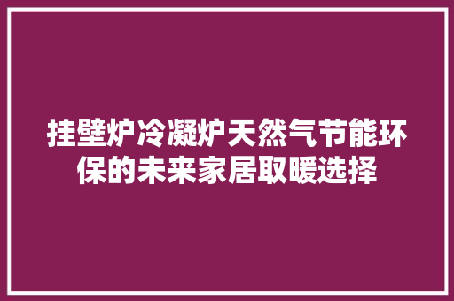 挂壁炉冷凝炉天然气节能环保的未来家居取暖选择 墙体维修