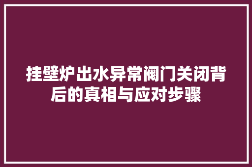 挂壁炉出水异常阀门关闭背后的真相与应对步骤 厨房维修