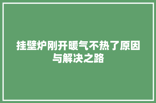 挂壁炉刚开暖气不热了原因与解决之路 墙体维修