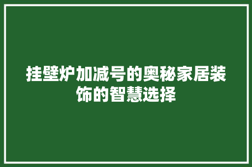 挂壁炉加减号的奥秘家居装饰的智慧选择 家电维修
