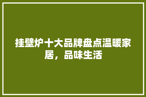 挂壁炉十大品牌盘点温暖家居，品味生活 家电维修