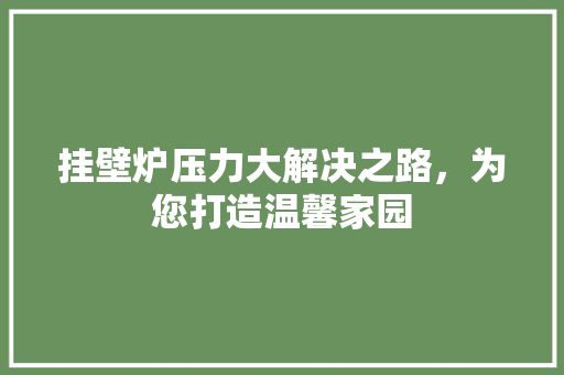 挂壁炉压力大解决之路，为您打造温馨家园 厨房维修