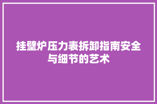挂壁炉压力表拆卸指南安全与细节的艺术 墙体维修