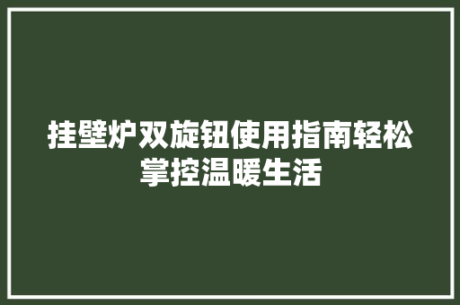 挂壁炉双旋钮使用指南轻松掌控温暖生活 家电维修