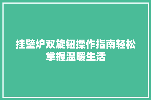 挂壁炉双旋钮操作指南轻松掌握温暖生活 墙体维修