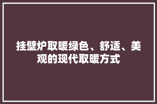 挂壁炉取暖绿色、舒适、美观的现代取暖方式 厨房维修