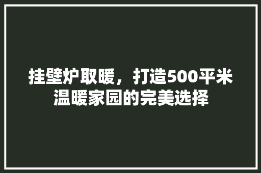 挂壁炉取暖，打造500平米温暖家园的完美选择 家电维修