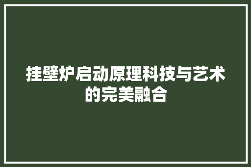 挂壁炉启动原理科技与艺术的完美融合 家电维修