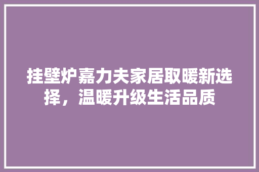 挂壁炉嘉力夫家居取暖新选择，温暖升级生活品质 家电维修