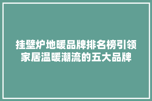挂壁炉地暖品牌排名榜引领家居温暖潮流的五大品牌 综合便民