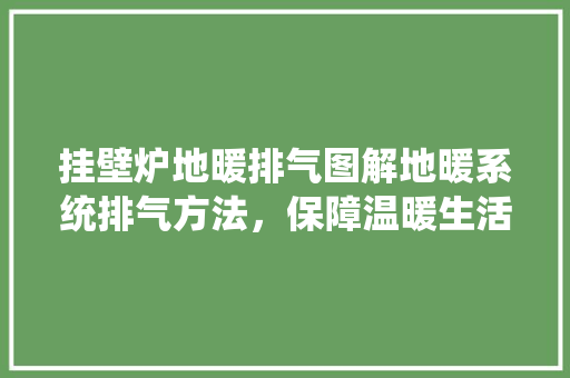 挂壁炉地暖排气图解地暖系统排气方法，保障温暖生活无忧 综合便民