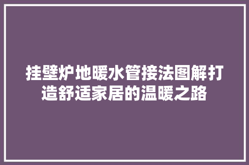 挂壁炉地暖水管接法图解打造舒适家居的温暖之路 墙体维修